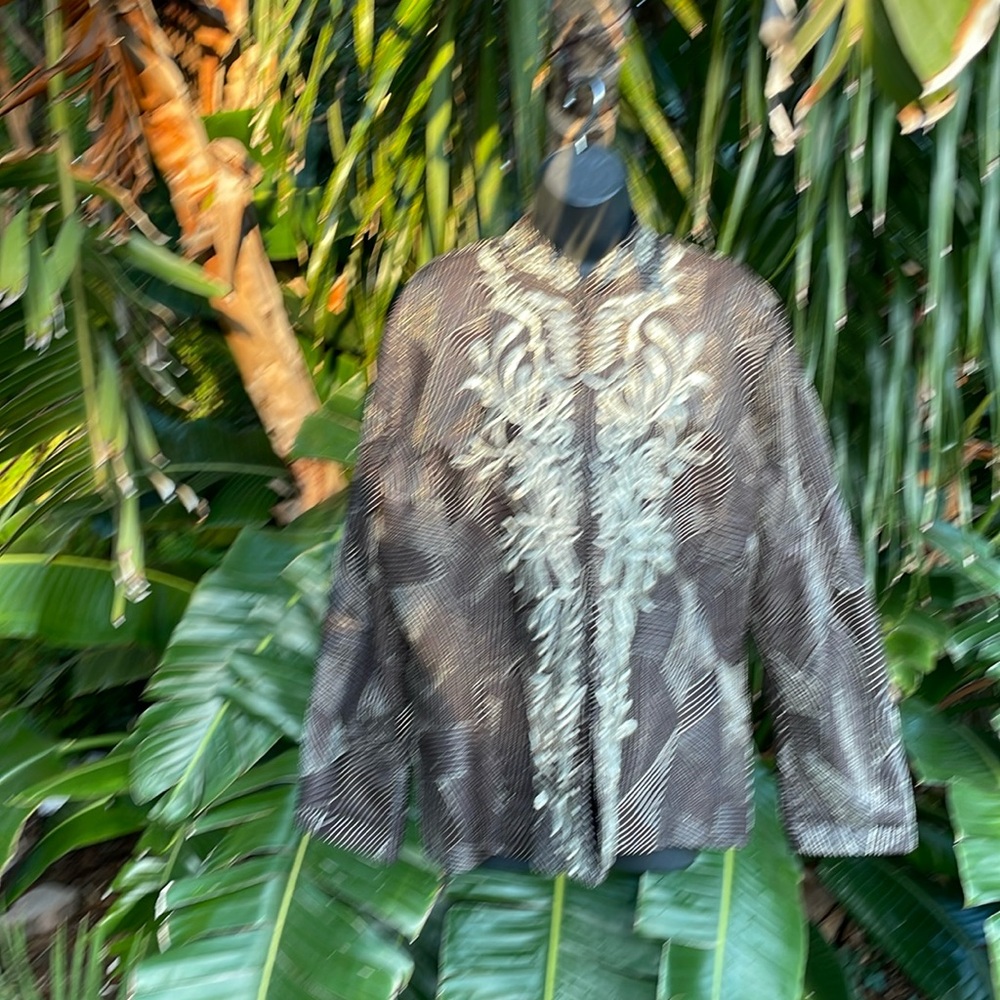 Chico, silver embroidered jacket - image 3